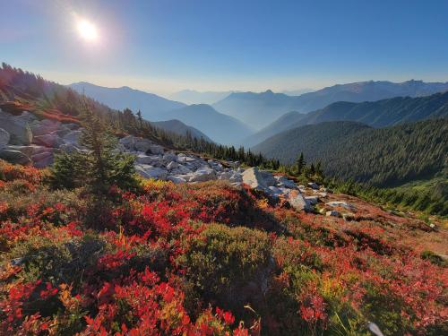 Fall Colors in North Cascades National Park