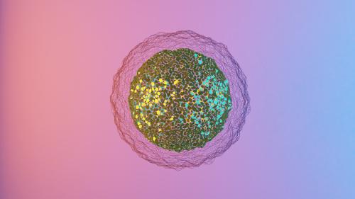 Wireframe Circle MultiColor