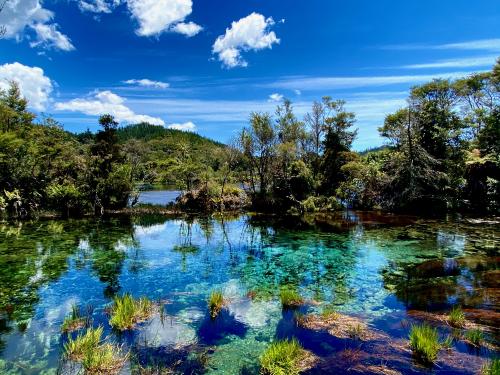 Te Waikoropupu Springs. New Zealand. OC