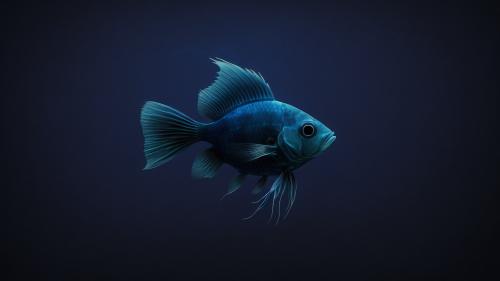 Blue fish