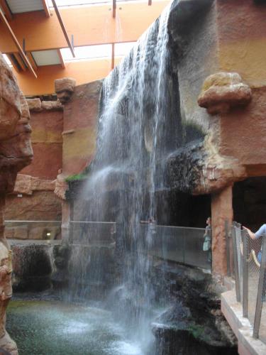 Waterfall in the Africarium-Oceanarium of the Wrocław Zoo in Poland