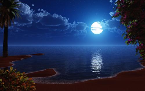 Beautiful Night Sky with Moon!