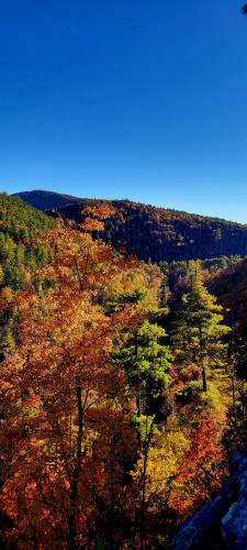 Overlooking the Linville Gorge in North Carolina, Fall 2022