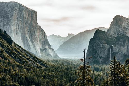 Yosemite Tunnel View.