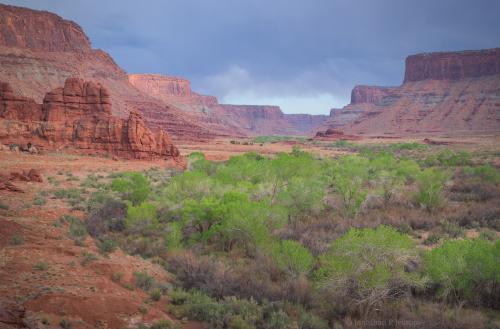 Kane Creek Canyon, Utah USA