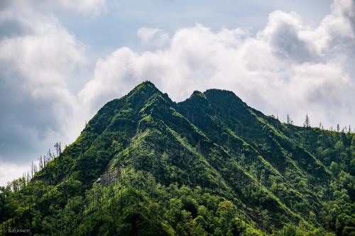 Chimney Tops, Great Smoky Mountain National Park.