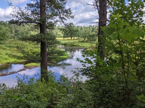 Lake Dennison tributary