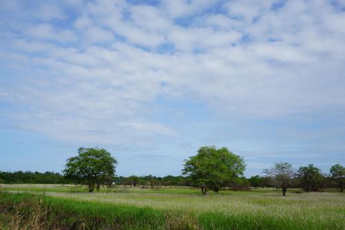 Padang Ilalang, Mempawah, West Kalimantan, Indonesia