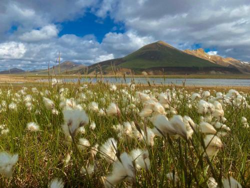 Landmannalaugar in the Icelandic Highlands