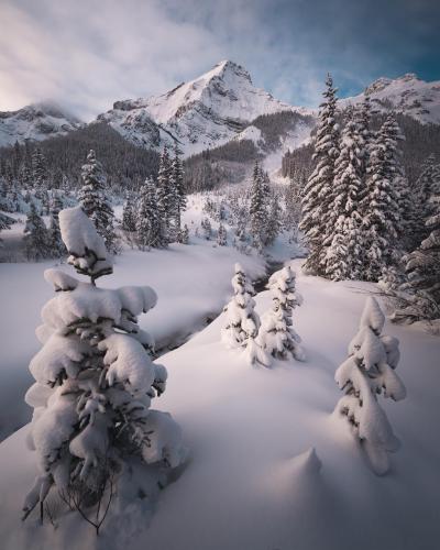 Snow Wonderland, Canada