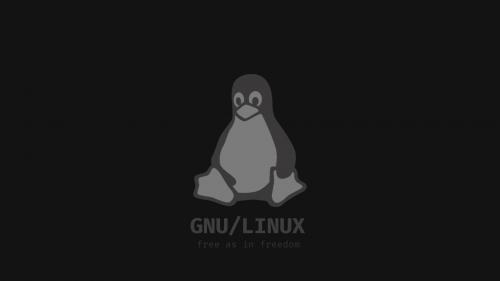 Minimal distraction free linux logo wallpaper.