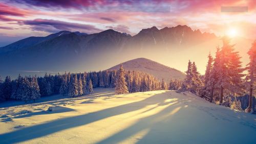 Winter Shadow Sunset Wallpaper