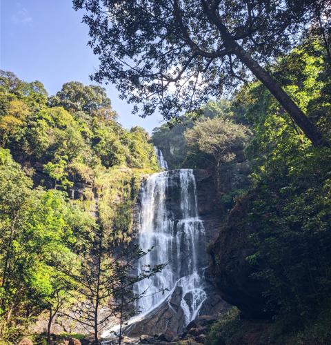Hebbe Falls - Chikmagalur, Karnataka, India.