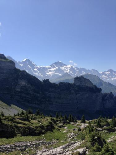 Feeling tiny in the Swiss Alps [4032x3024]