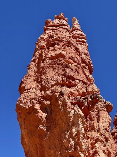 I don’t understand how the sky seems so unnaturally Blue, Bryce Canyon, Utah