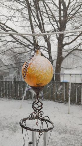 Taken during a snow squall on 2/19/22.