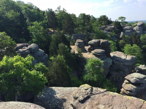 Remnants of An Ancient Sea. Garden of The Gods, Illinois, USA.