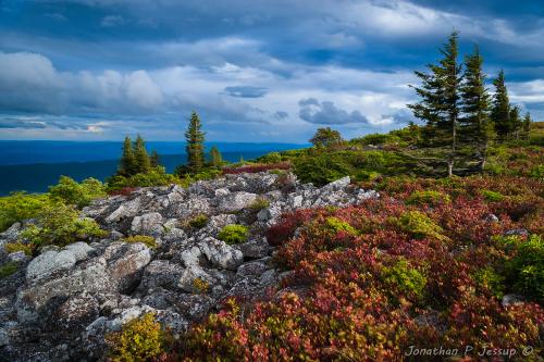 Huckleberry and rock barrens, West Virginia Highlands