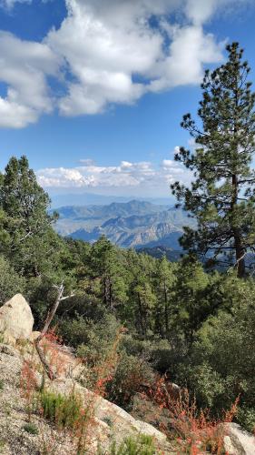 View from the side of Mt. Graham Arizona.