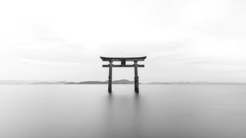 Torii