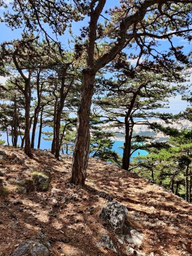 The Moon Plateau walking trail, Baska, Island of Krk in Croatia.