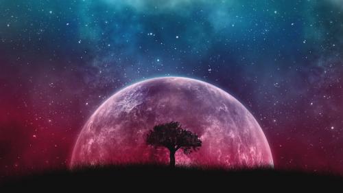 big moon for desktop, nebula, stars, lonely tree, galaxy