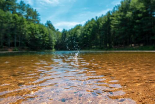 Splash on a lake of emerald | Massachusetts |