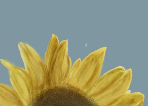 sunflower made