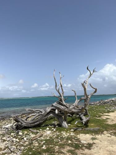 Bonaire, Caribbean Netherlands