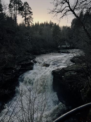 River Clyde, Lanark, Scotland  3024 x 4032