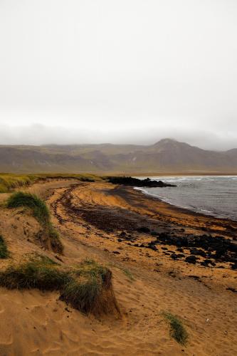 Icelandic beach,