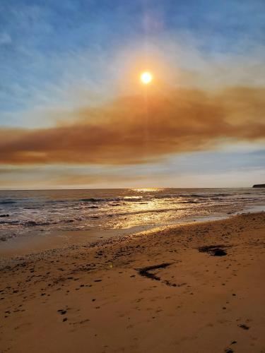 The sun peeking above the brown smoke of a forest fire in Santa Barbara, CA.