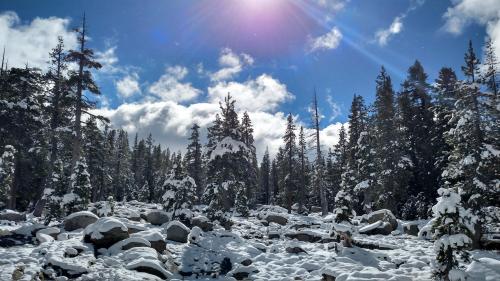 Donners Pass, CA