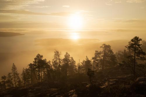 A misty sunrise above High Coast Trail, Sweden