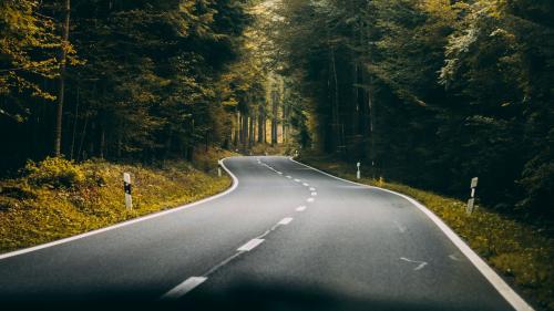 The scene of road in forest