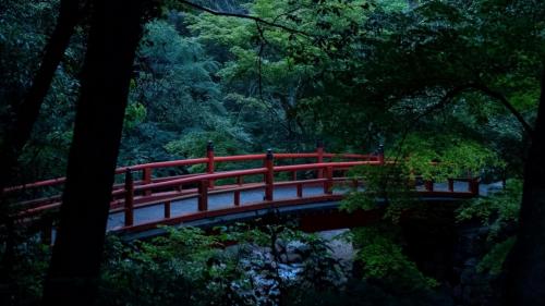 The Bridge