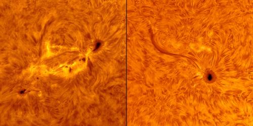 Two Solar Active Regions