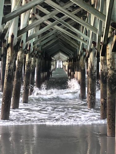 Under the pier