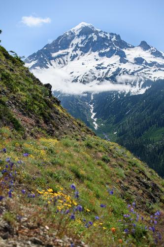 Mount Hood Oregon showing colorful majesty