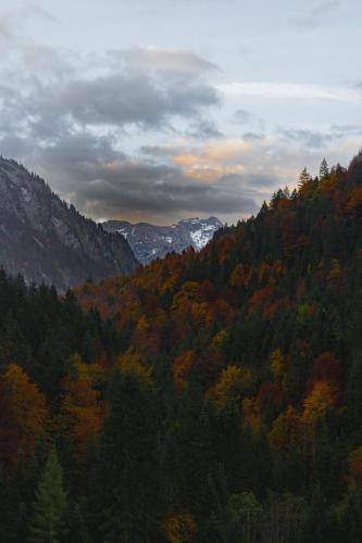 Autumn in the Allgau region of Germany