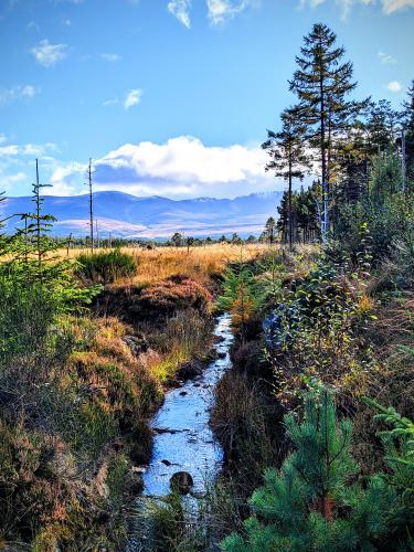 Cairngorm National Park, Scottish Highlands