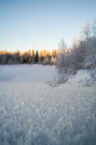 Sometimes it's worth getting intimate with the snow. Pedersöre, Finland