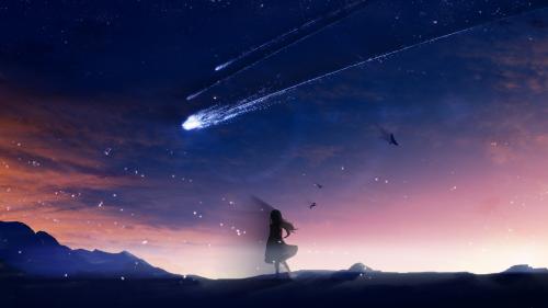 anime girl for desktop, falling stars, scenic, birds, sky, landscape