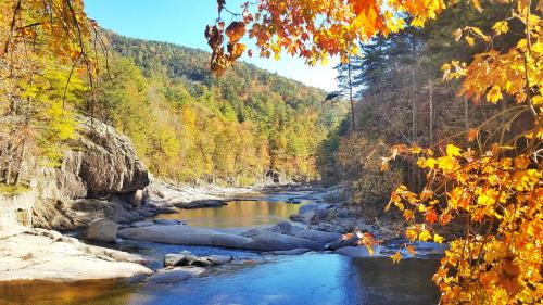 Wilson Creek Wild &amp; Scenic River Area, North Carolina  3926×2208