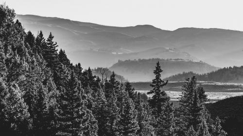 Lamar Valley, Yellowstone NP  OC