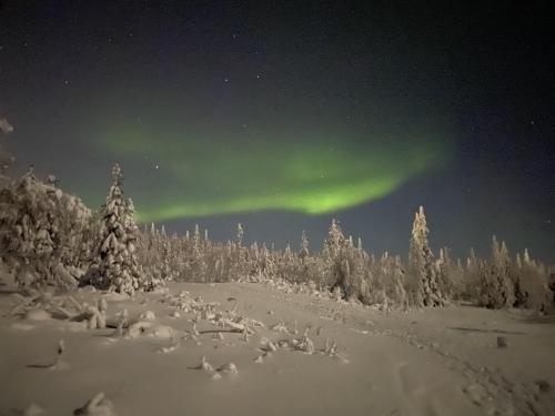 Northern Lights, Yllas, Finland