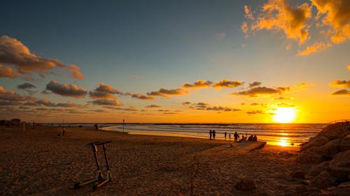 People on Beach during Sunset