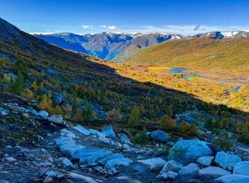 Fall colors in southern Norway