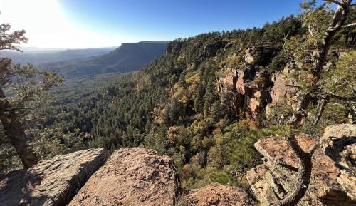 Mollogon Rim,AZ OC