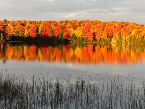 Northern Wisconsin . oc